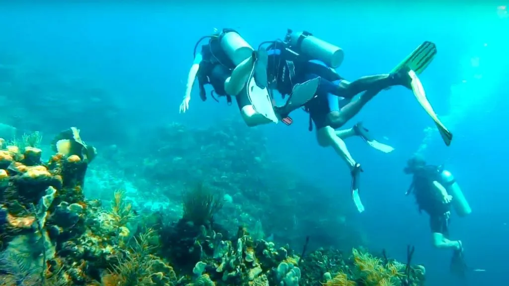 Let's Go DR 9 Catalina Island - Scuba Diving Tour
