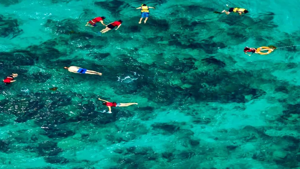 Let's Go DR 6 Catalina Island - Snorkeling Tour