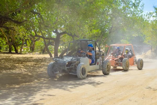 excursion-buggy