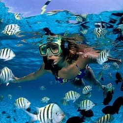 girl-snorkeling-catalina