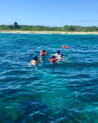 catalina-island-snorkeling